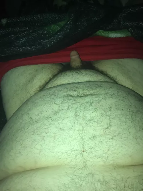 Come play with me! Sweetwater texas by Educational_Ant1387