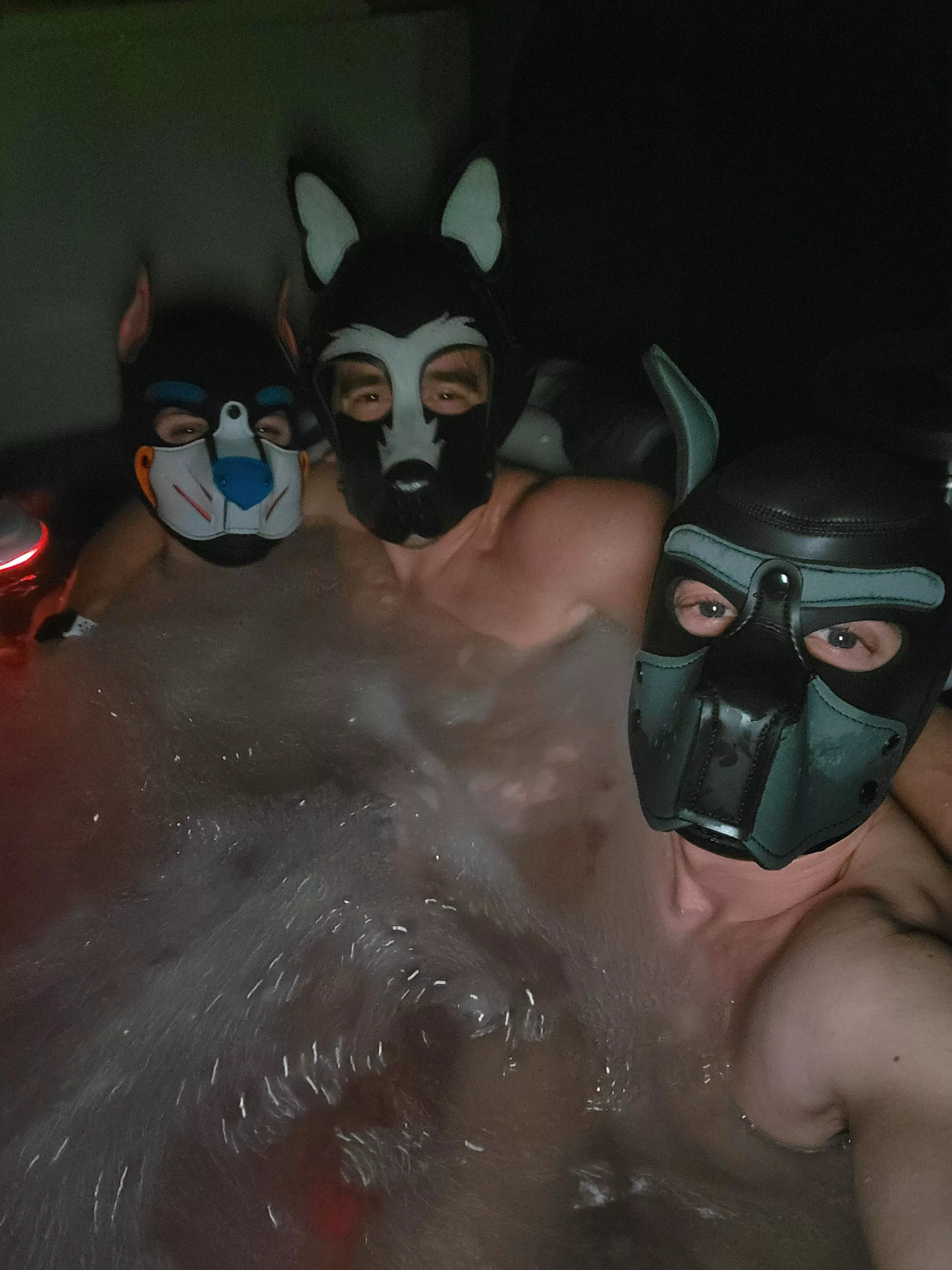 Couple of pups in the hot tub posted by PupBond