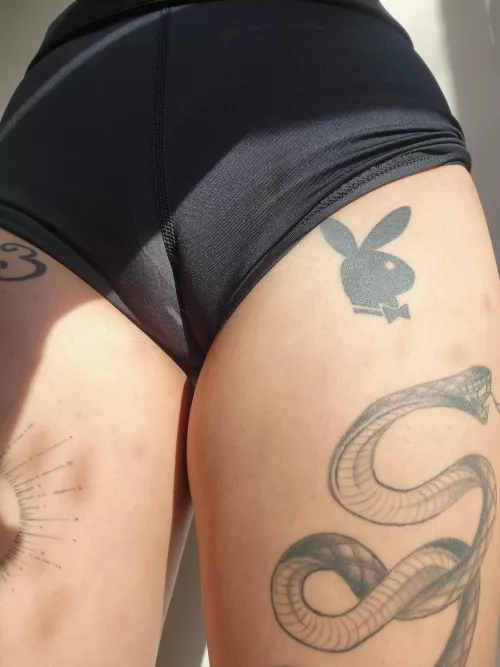 Courtney Driscoll (@courtneydriscoll) [OnlyFans] by tattedgirlxo