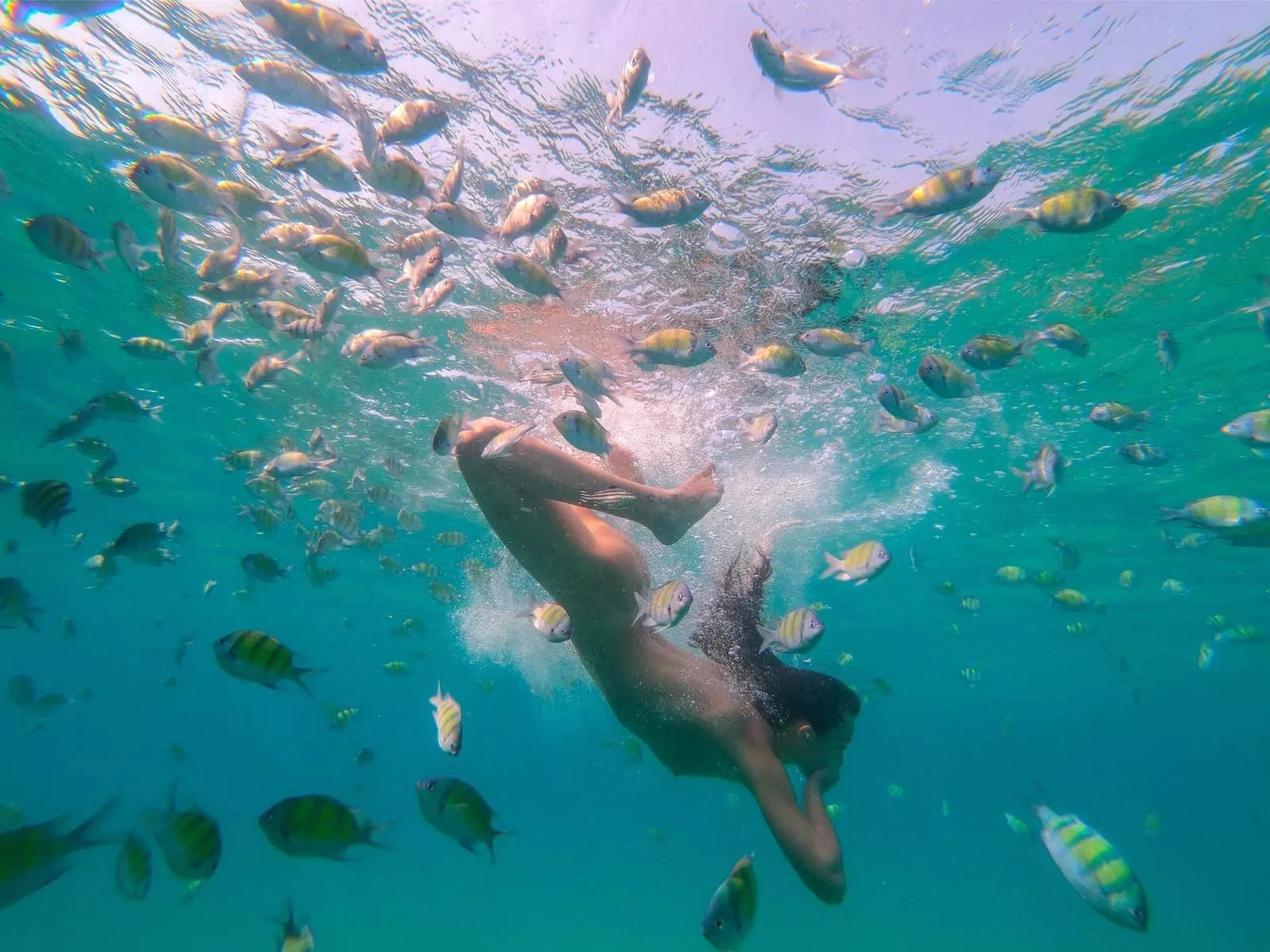 Diving with the fishes posted by IAmSnort