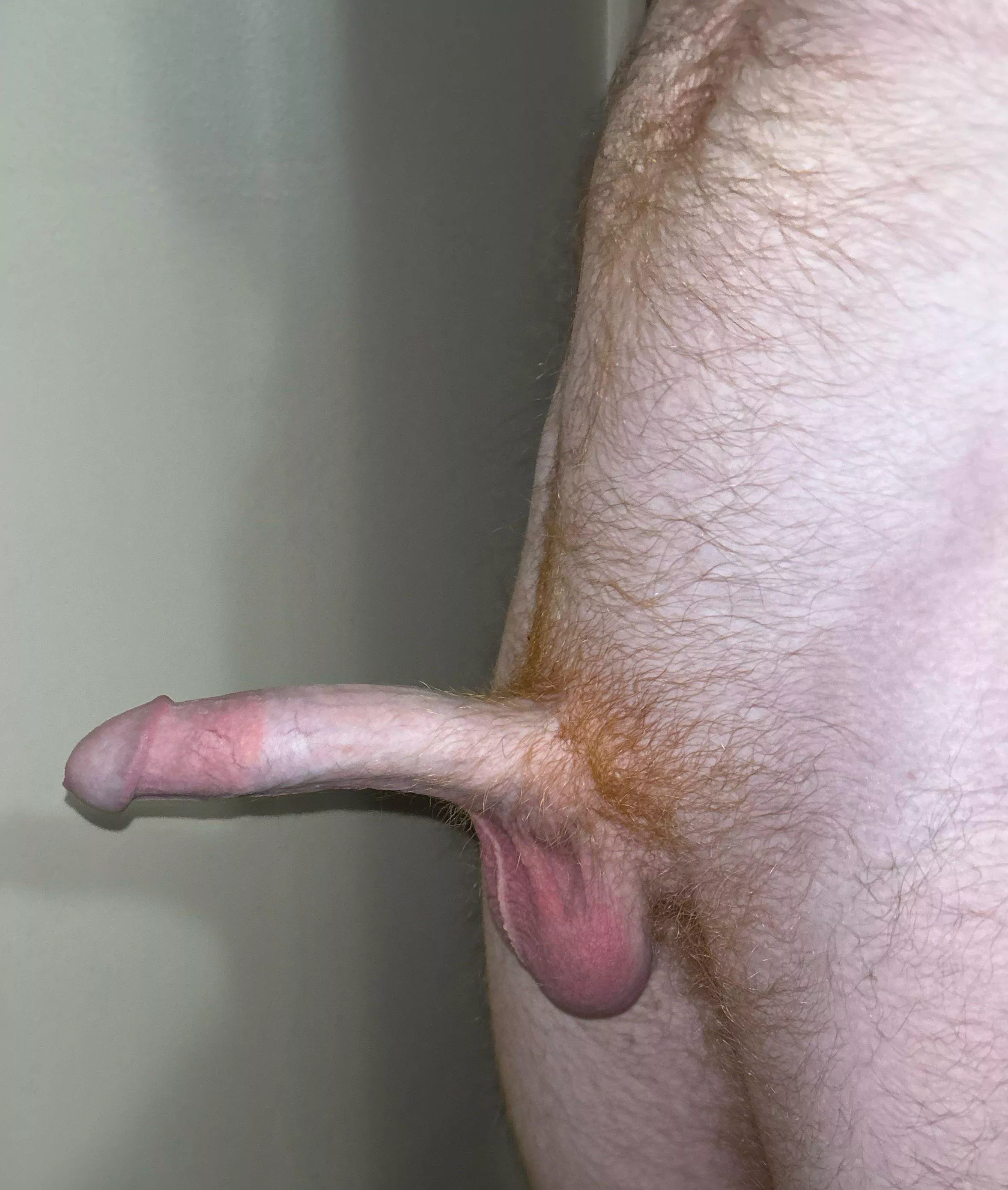 Do I have your attention? posted by GingaNinga6911