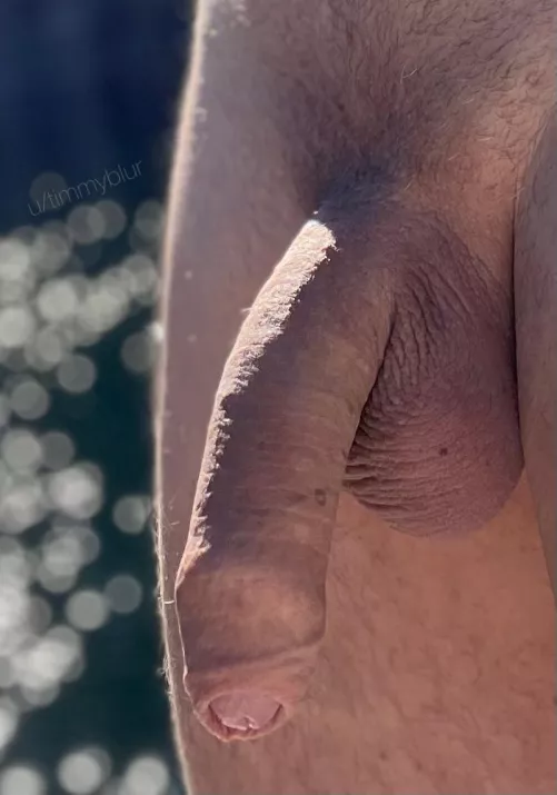 Dreaming about summertime and sunshine… by timmyblur