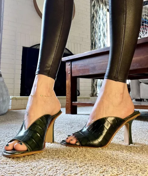 Fashionable For Friday by Lotusgirl00