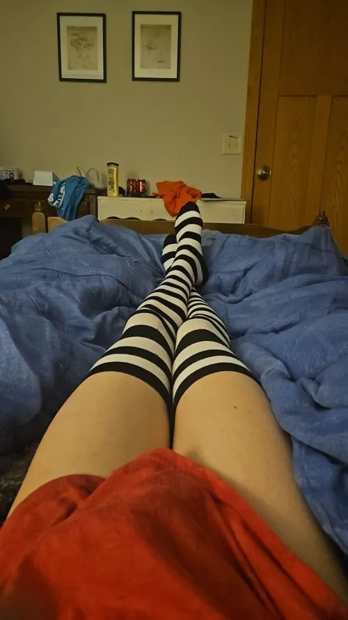 Felt kinda cute layin in bed 🥴  by DuskieTheFolf