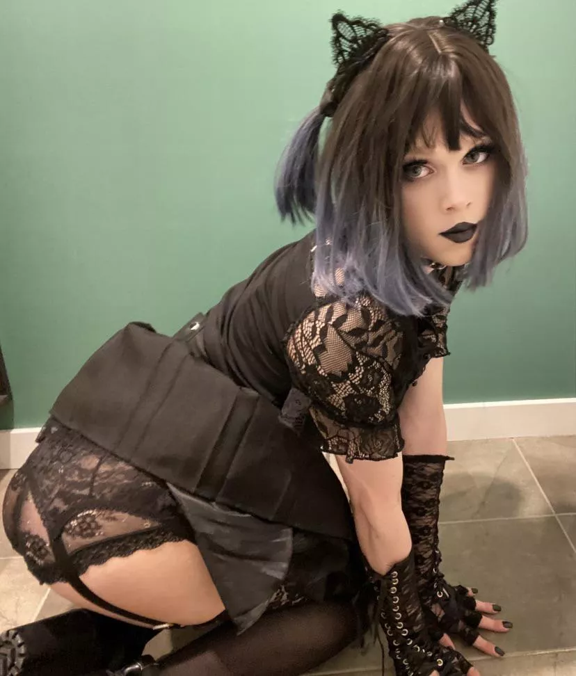 Goth kitty boys like to show their butt sometimes🥰🖤 posted by Dry-Apple2493