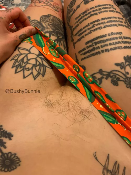 Hairy girls taste and smell better, convince me otherwise by BushyBunnie