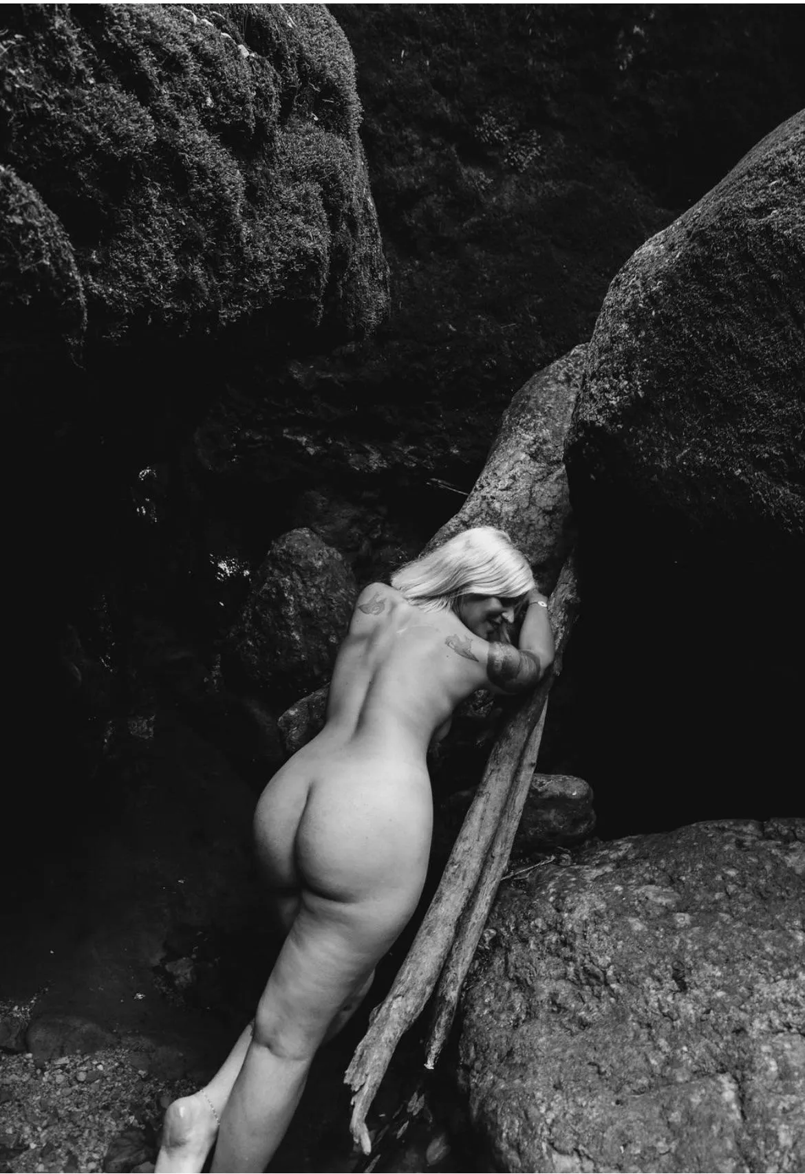 Here in the Forest to inspire you  posted by eleftheriacassie