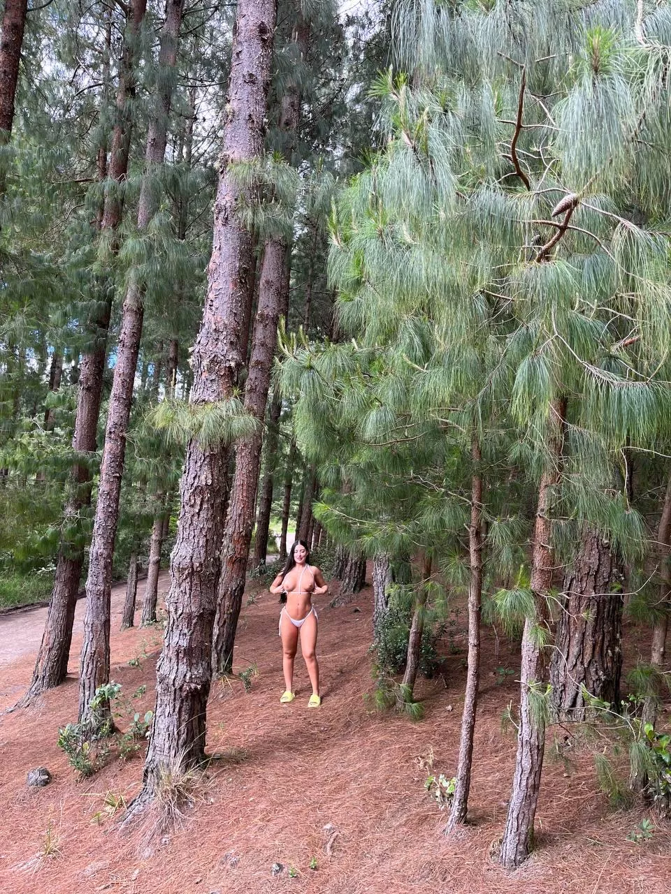 How far can you see them posted by BroadAppearance9141