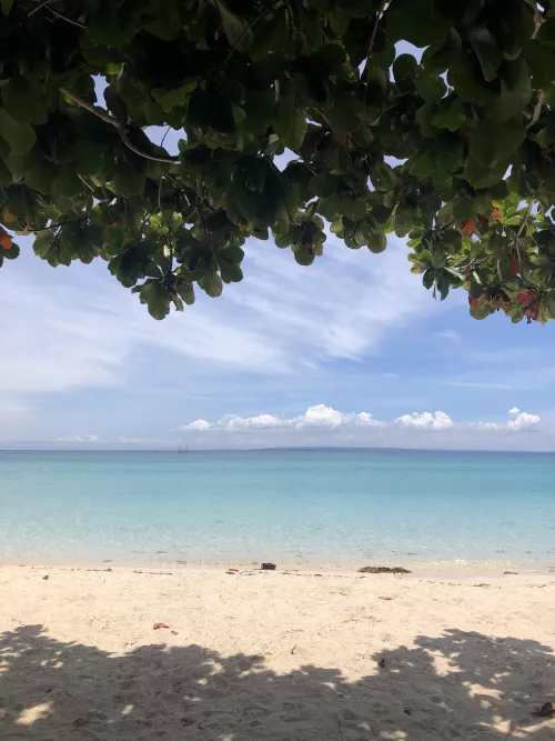 I always look forward to see this during weekend by EnvironmentCute5869