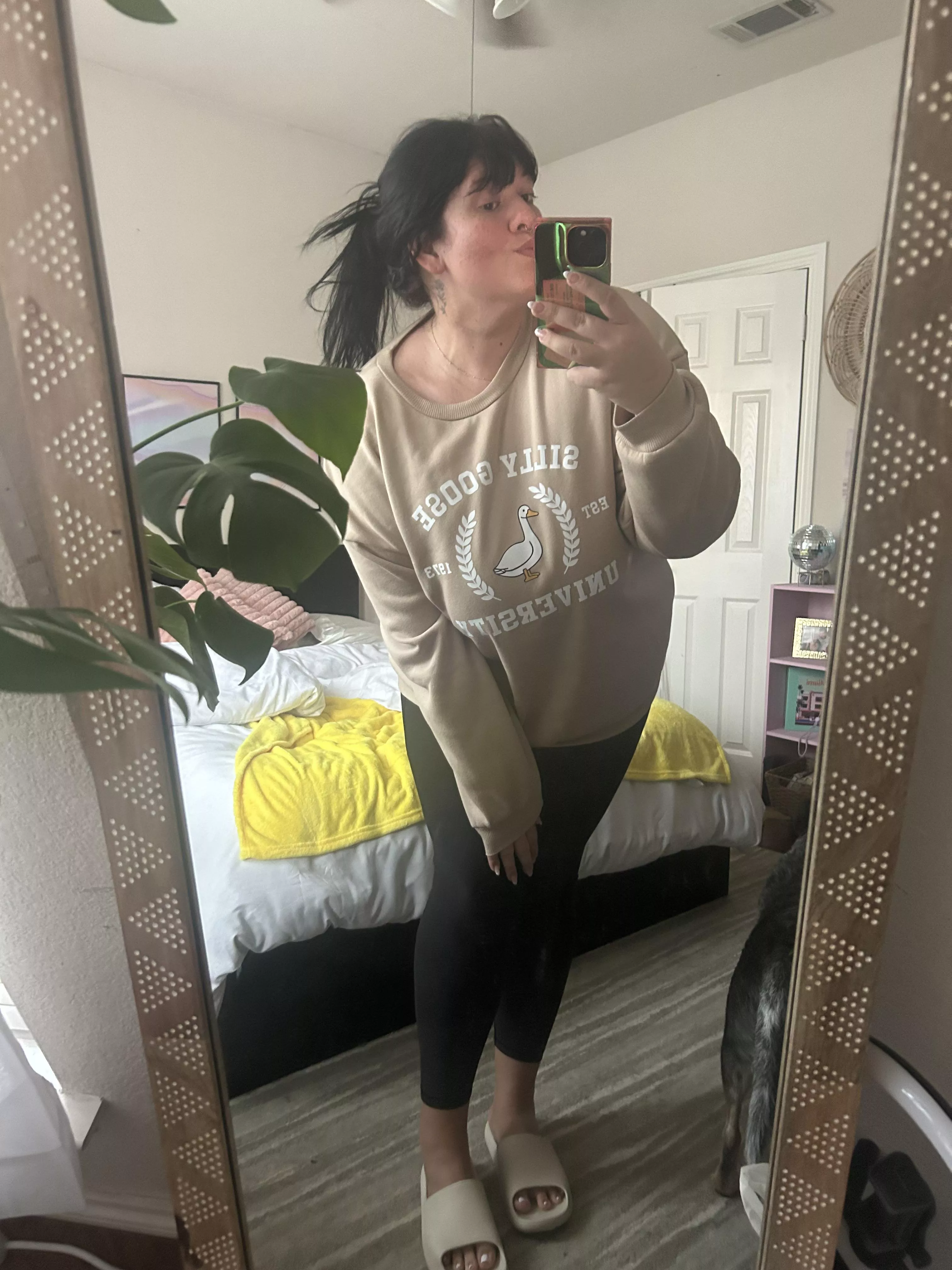 i graduated from silly goose university. 🤩 posted by Brilliant_Etiquette