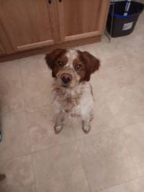 I sound like an attention wh0®3 XD by Popular_Obligation40