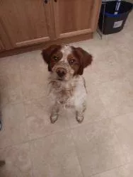 I sound like an attention wh0®3 XD posted by Popular_Obligation40