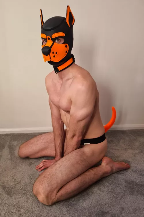 If I sit, does that mean I'm a good boy? by AshdogeTF