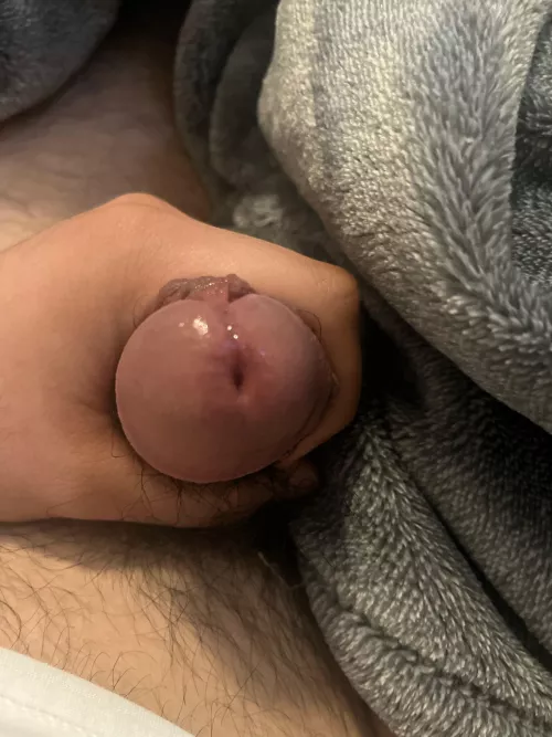 Just came  by Alternative-Drink516