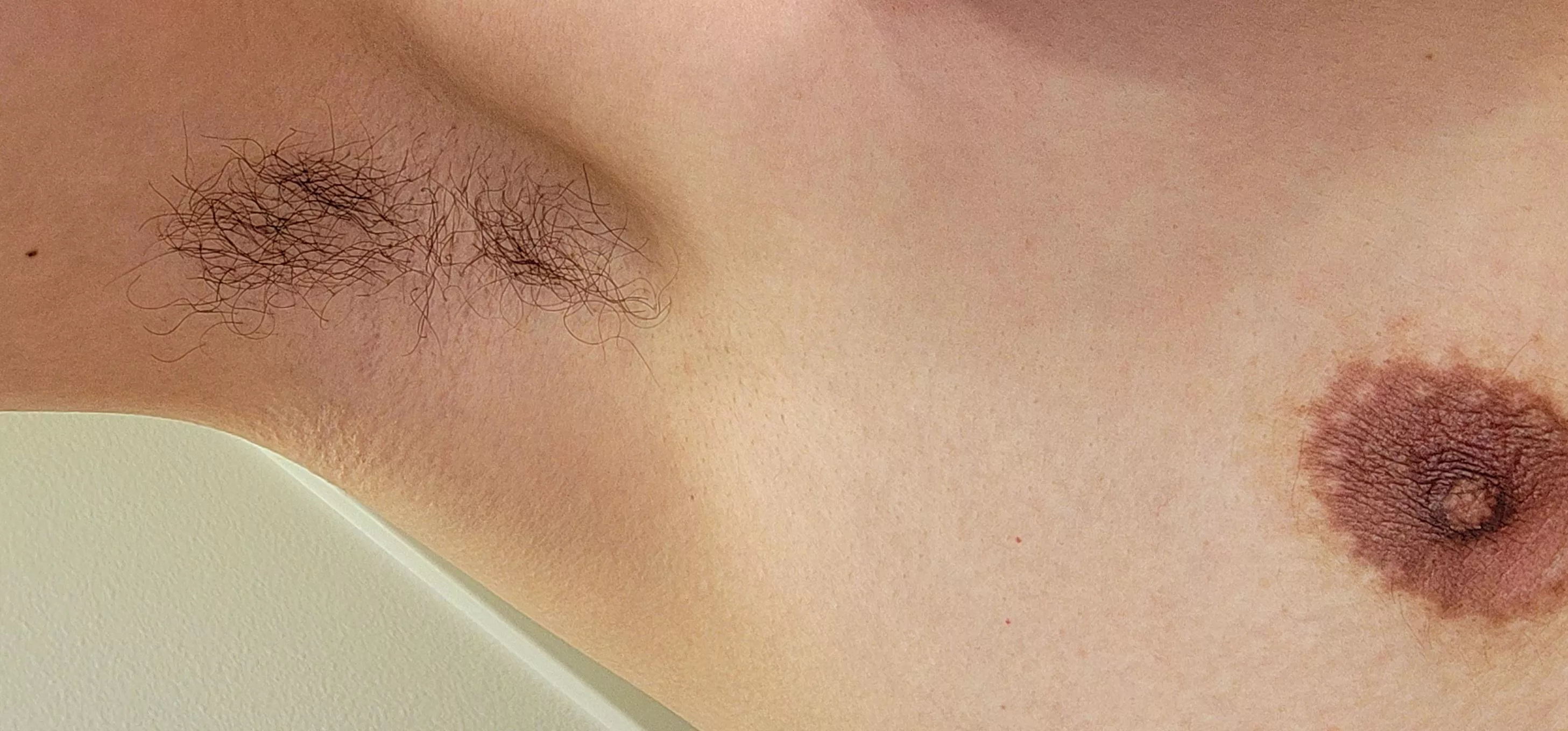 Just passing by. posted by W1p30u7