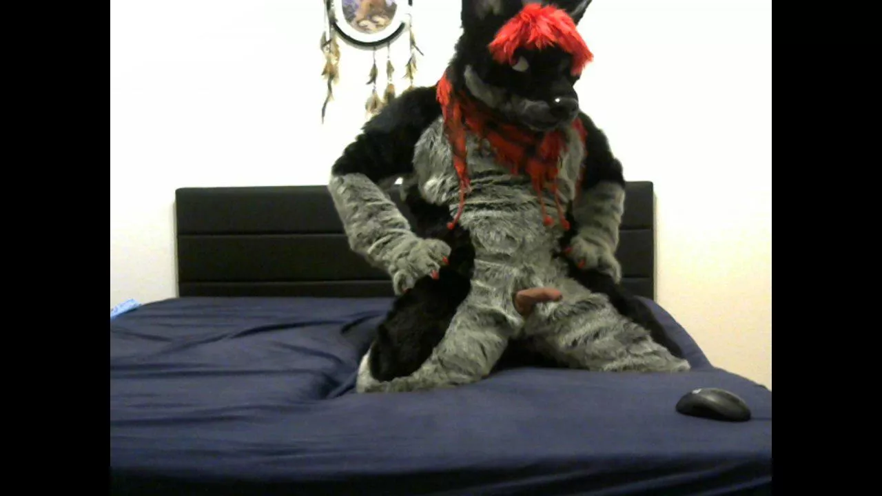 loaded wolf ready for fun posted by GanoesIIKitain