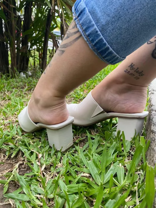 Love my mules  by Catinkishere