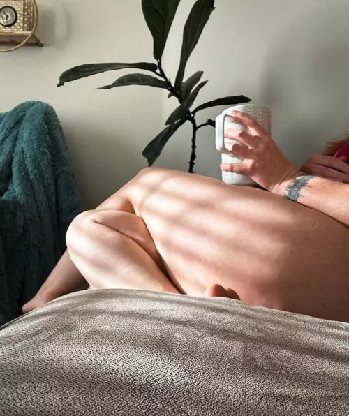 Love the feeling of the warm sun coming through the window by MrCandBunny