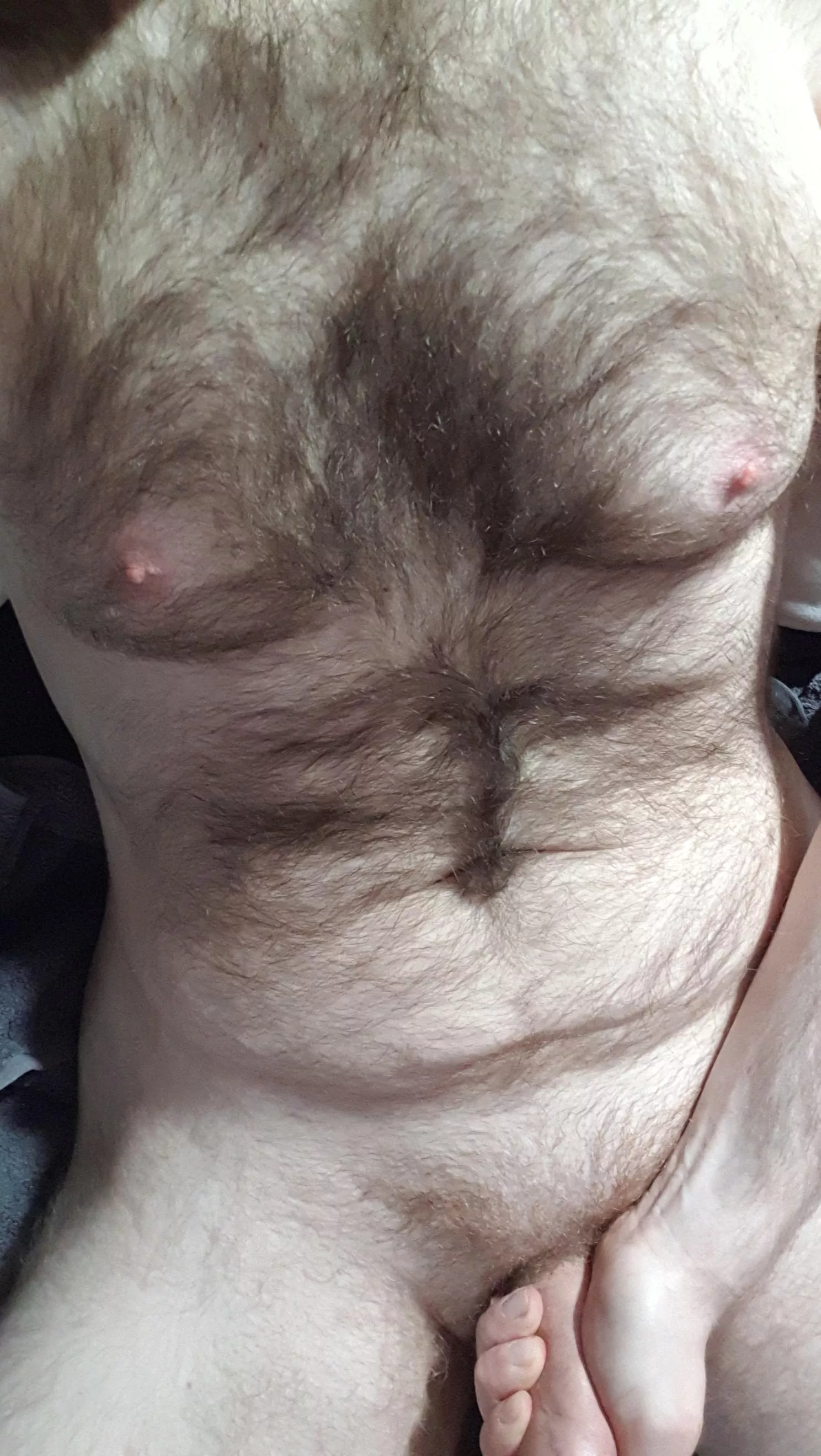 Morning horn posted by micha_g22765