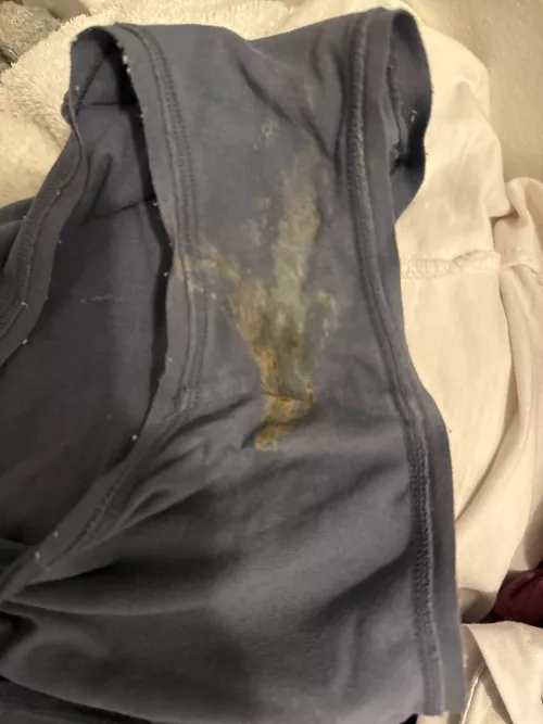 My wife dirty panties, Dm me if you want more of her! by Fluid_Lion_448