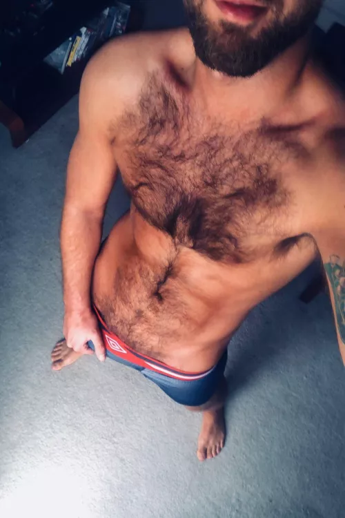 Rate my very hairy chest by Tidan1