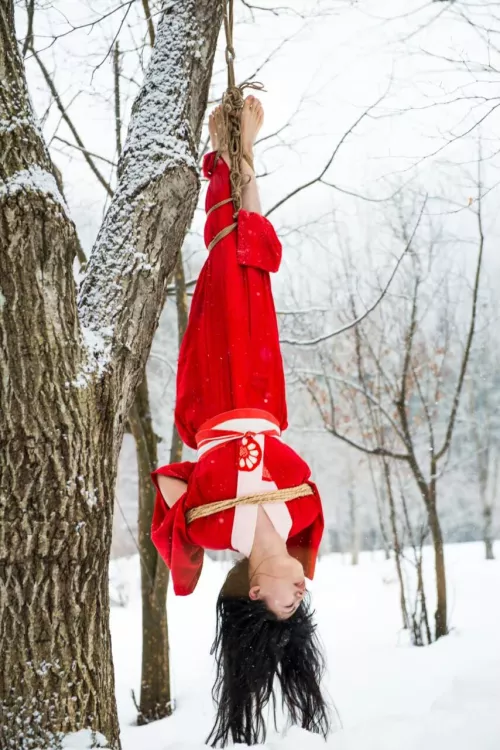 red and snow by allgmok