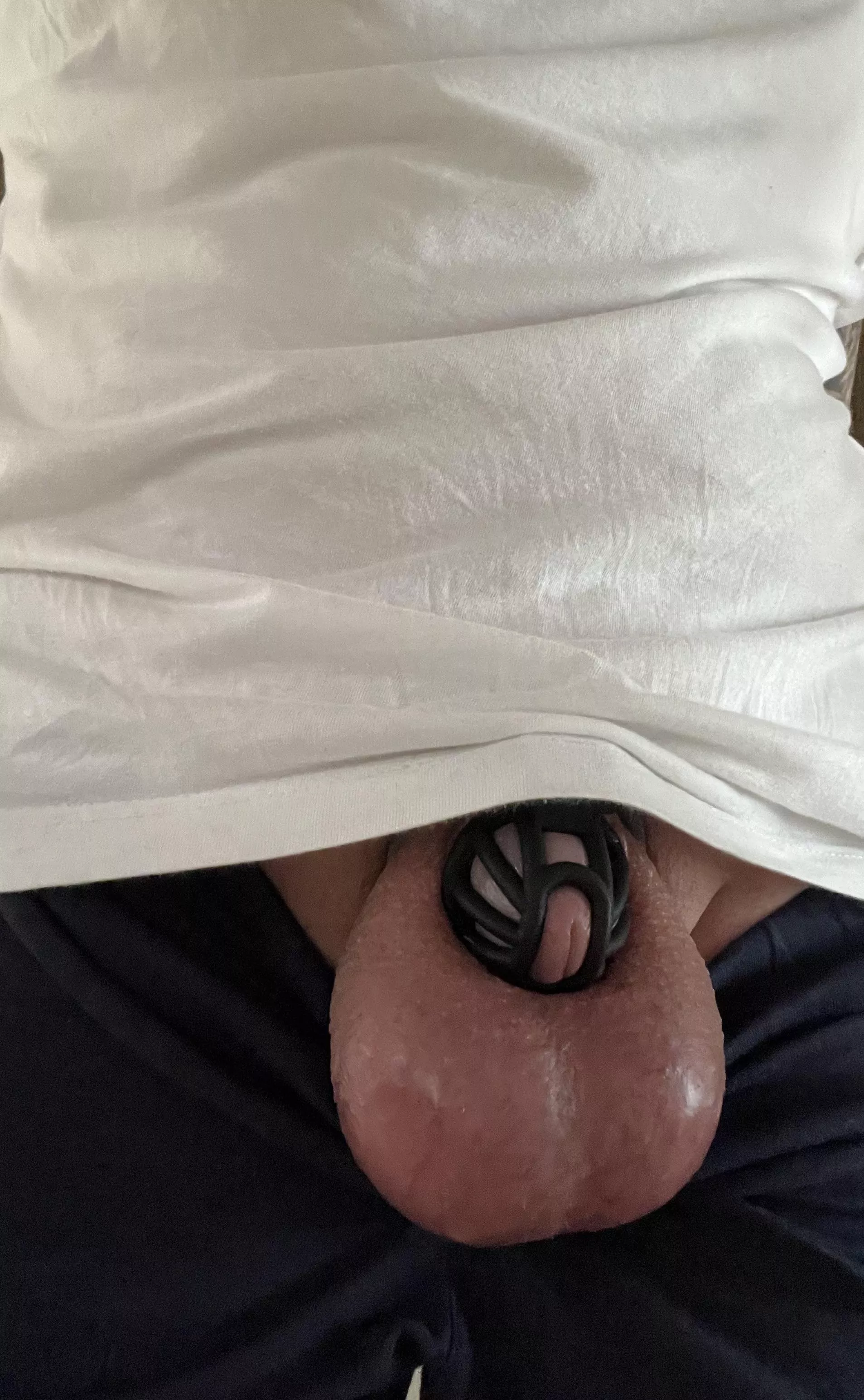 Shiny shaved balls posted by Agreeable_Banana6336