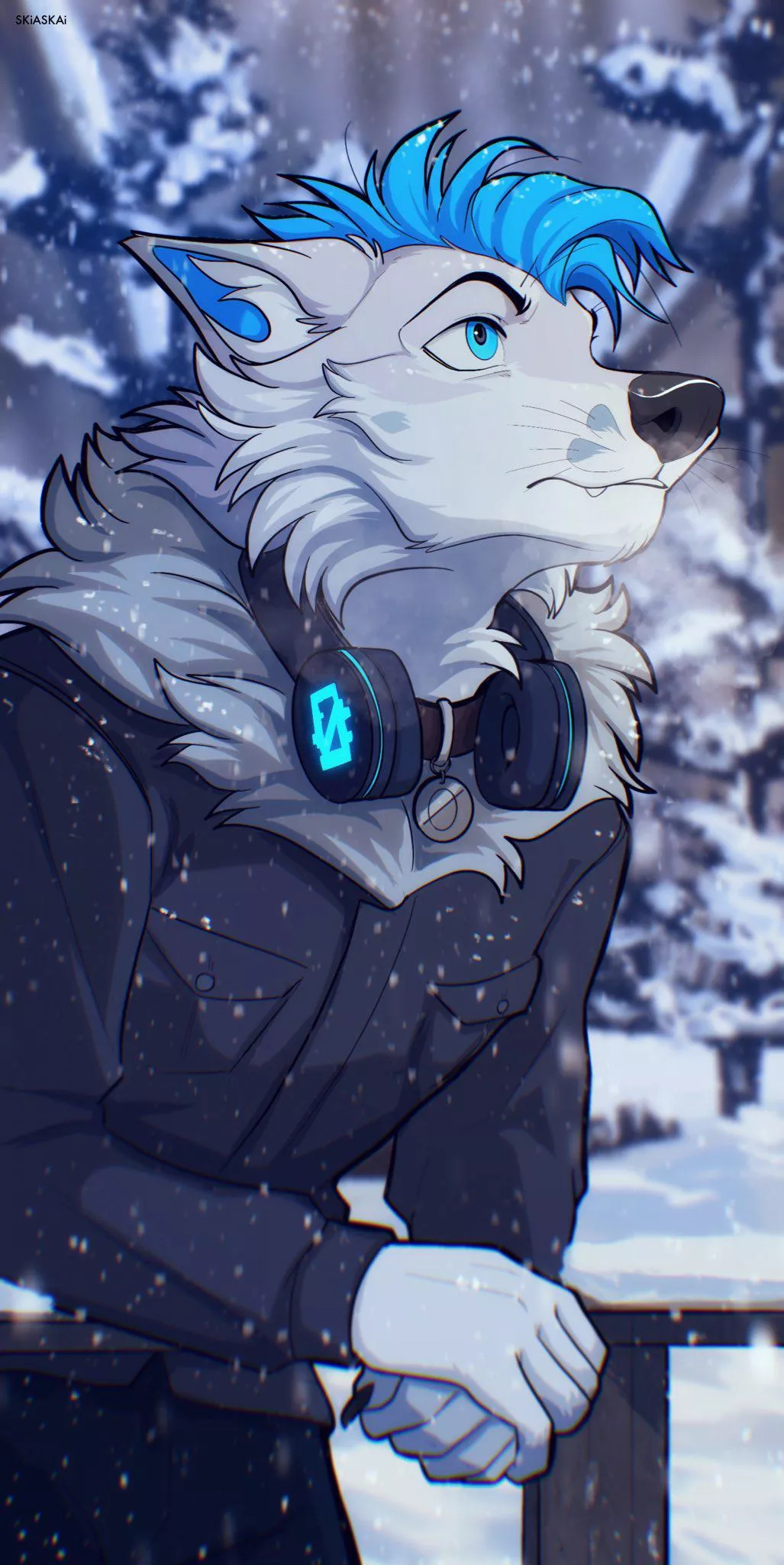 Snowy Day [SkiaSkai] posted by DL2828