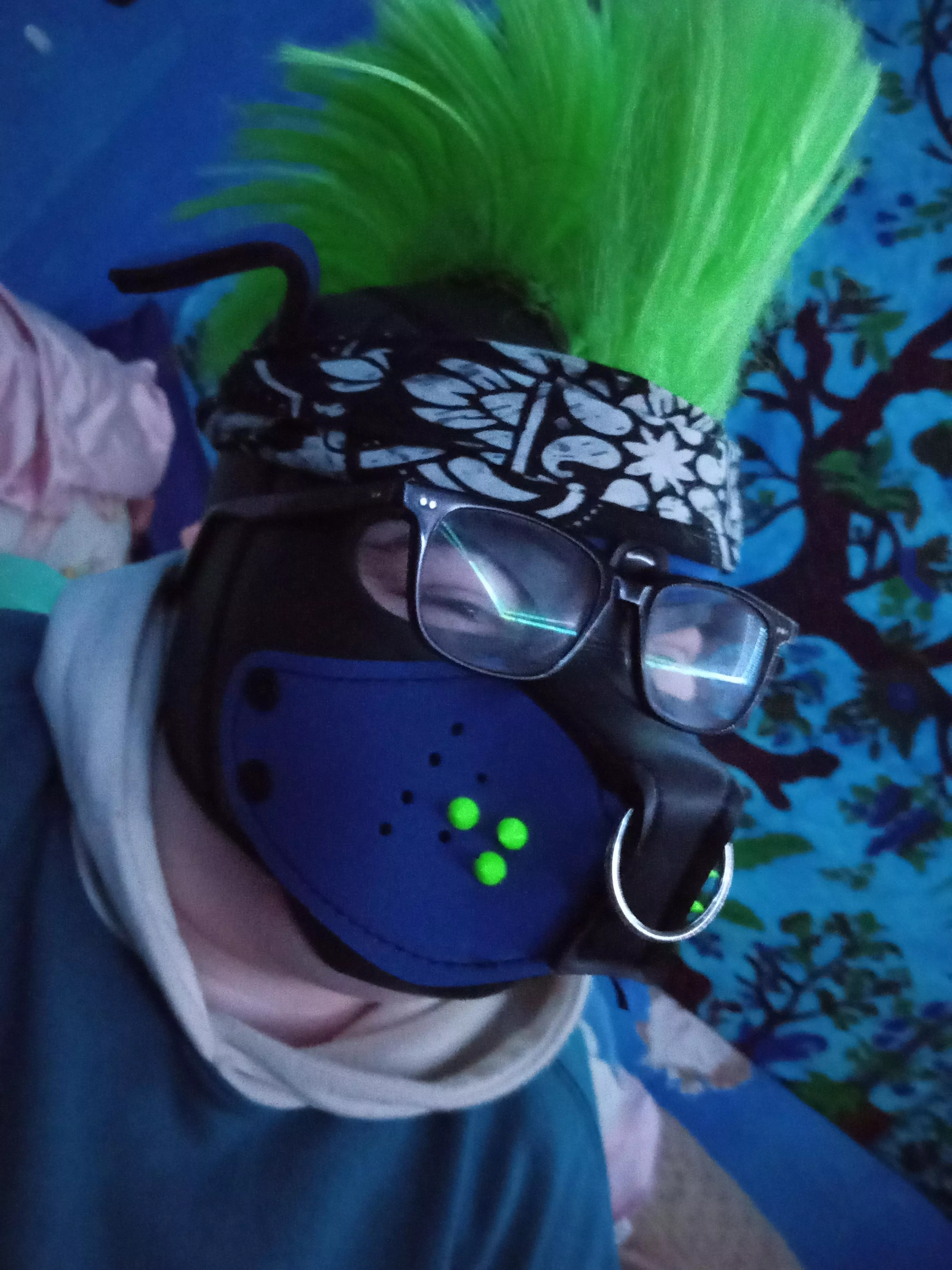 Squid pup here, Happy to be apart of the community! It's been about one year now since I came out as a pup!  posted by Bandit-Squid