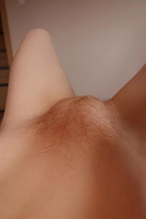 Such a mound is the perfect breakfast for you to have energy for the whole day 😍 by RedWildcatx