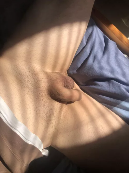 Sunning my softie  by Cute_Distribution_56