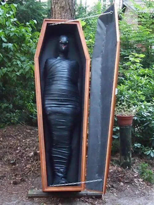 that's commitment by Mundane-Employer-719