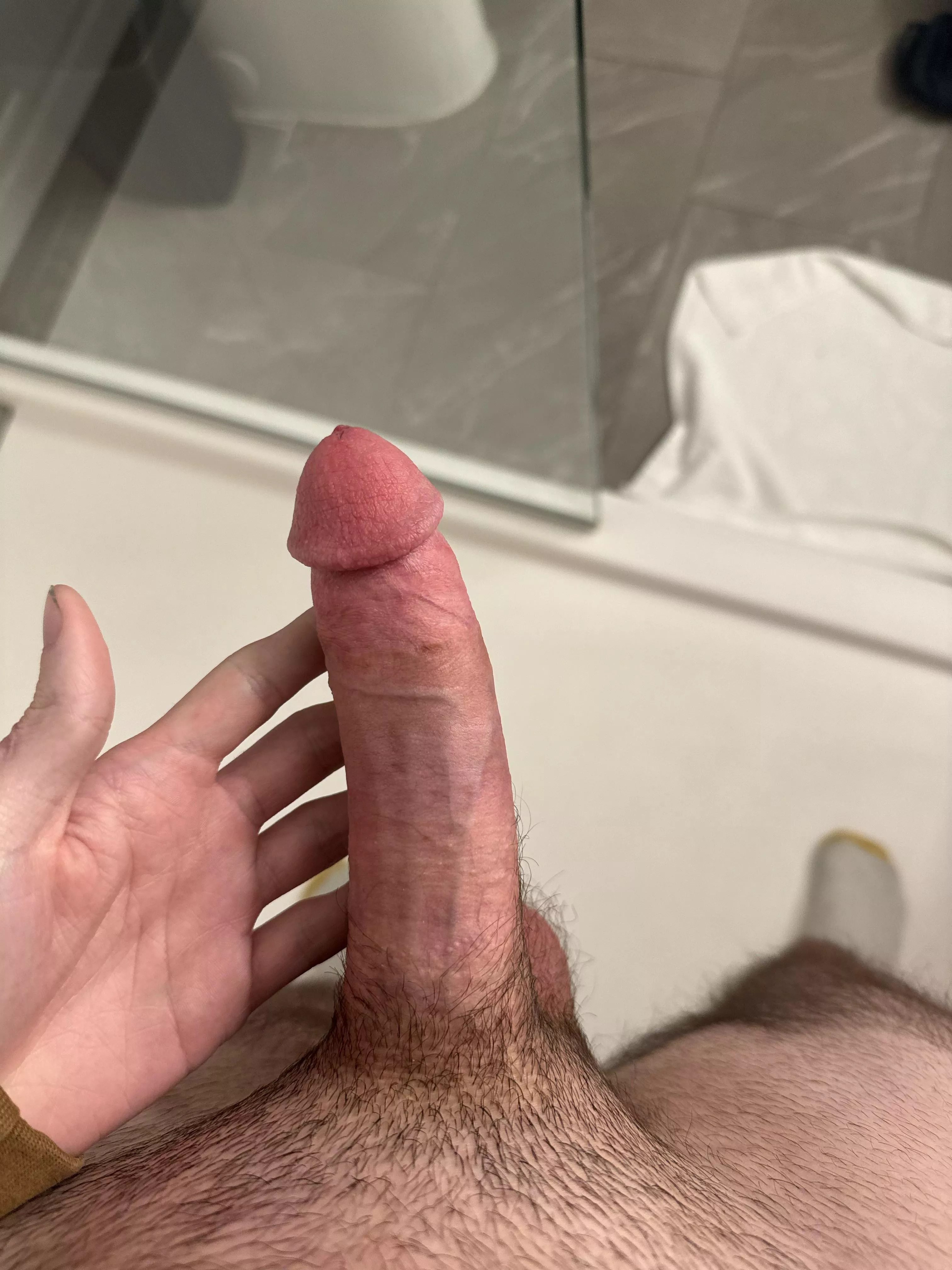 Thoughts? posted by Ok-Tale682