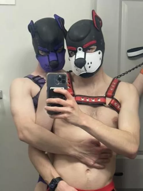 Two pupperinos 🐾 by shamelessfoxmusky