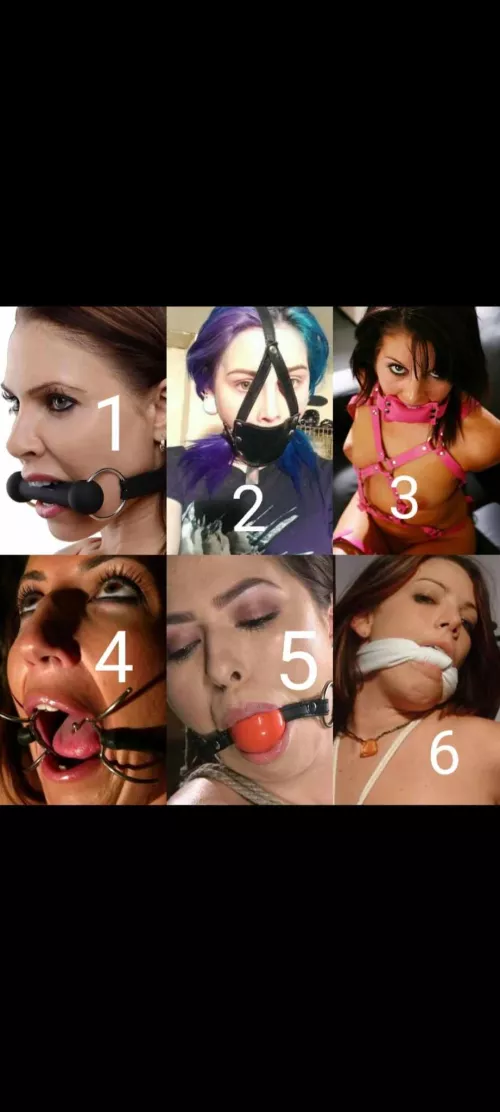 Which one is better by Independent-Bee-9175