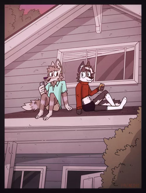 Who Let the Dogs on the Roof?!? [FreneticWolf] by DL2828