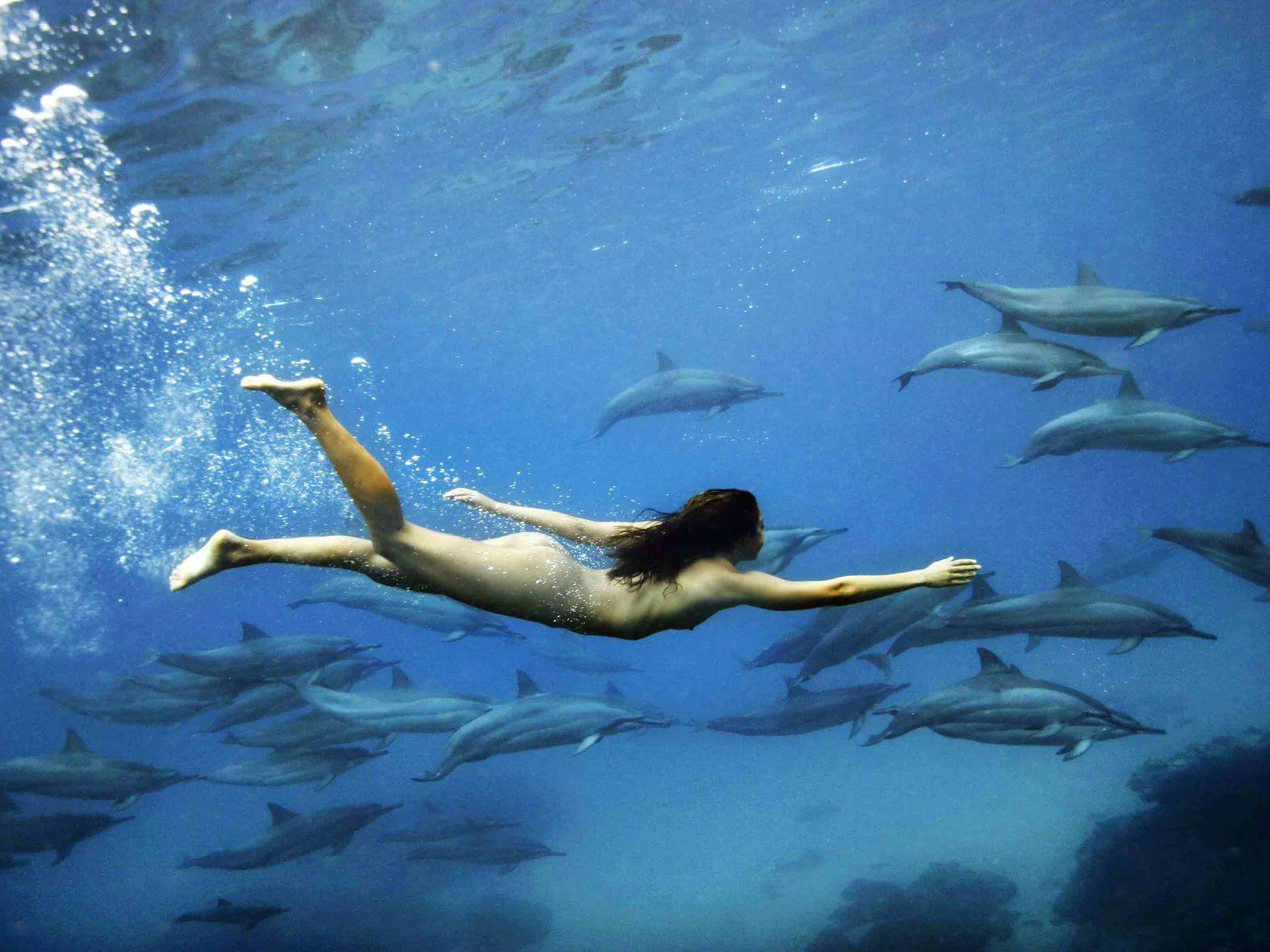 With dolphins posted by IAmSnort