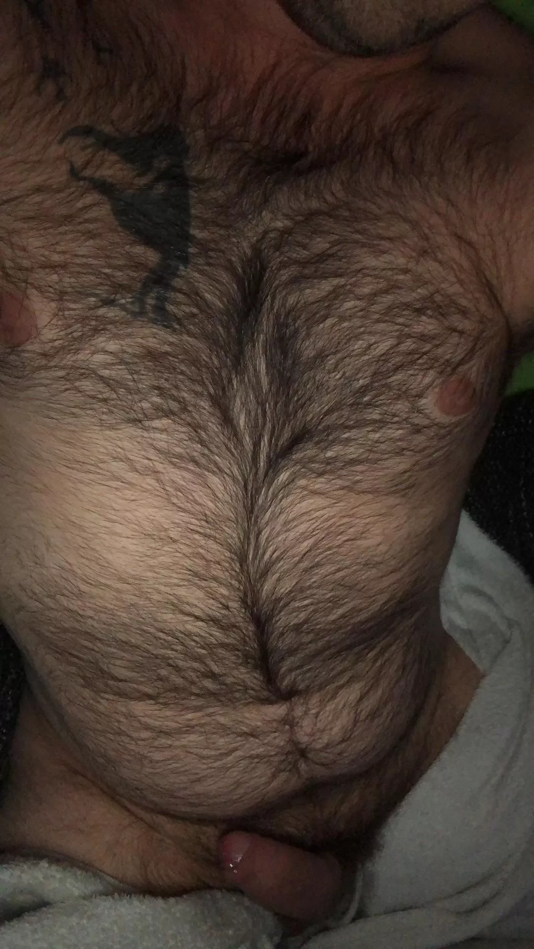 Write to me!!   posted by tobitobi2323