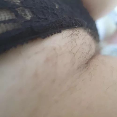 You gaze over and see My Soft Fur .....what are You doing Next ? by naturalbushblondieNz