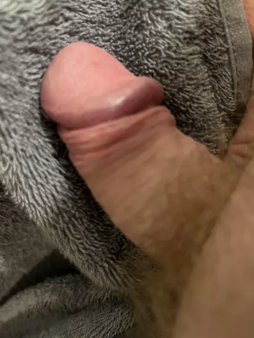 43 Softy by Specialist-Lake7334