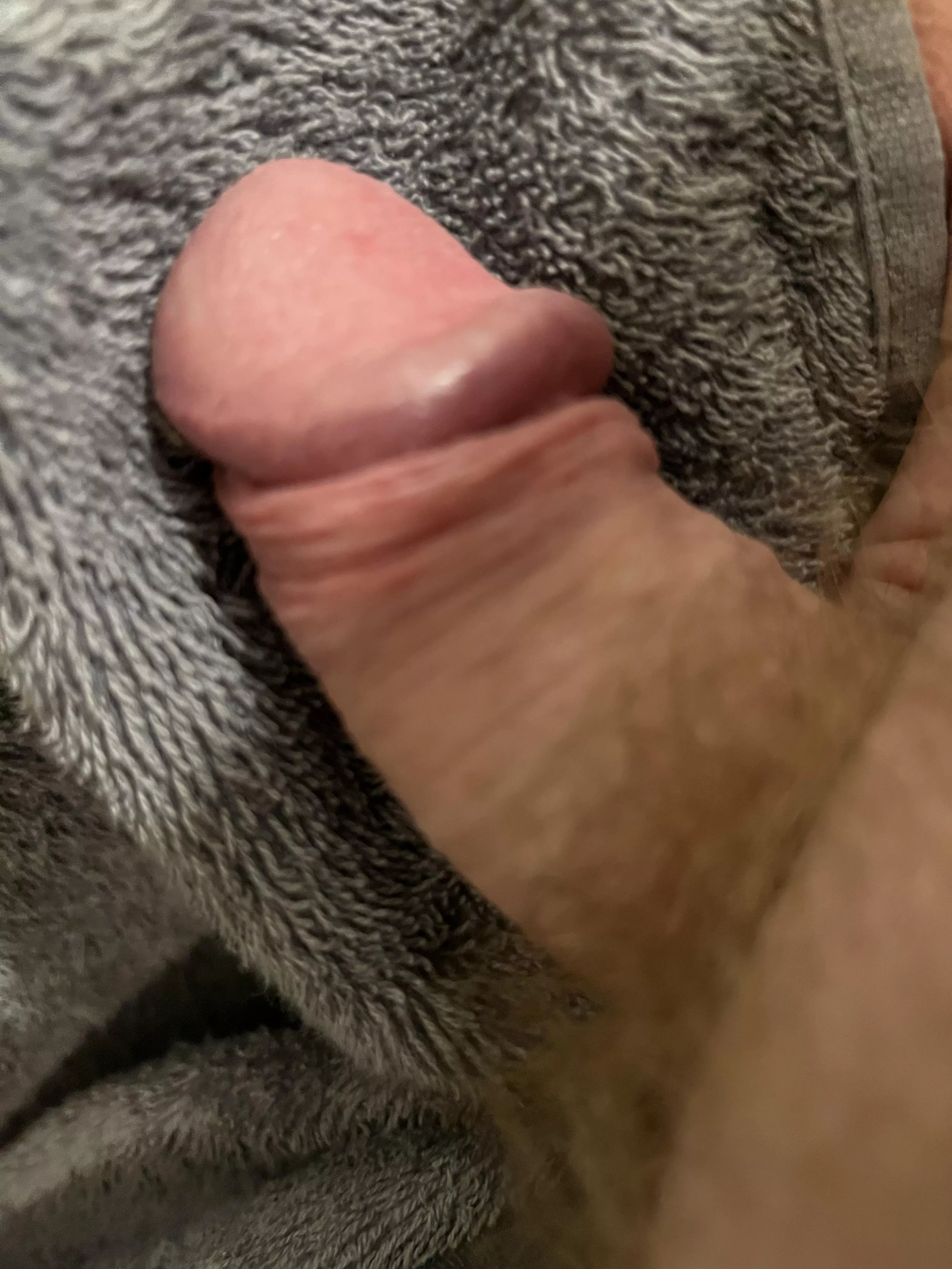 43 Softy posted by Specialist-Lake7334