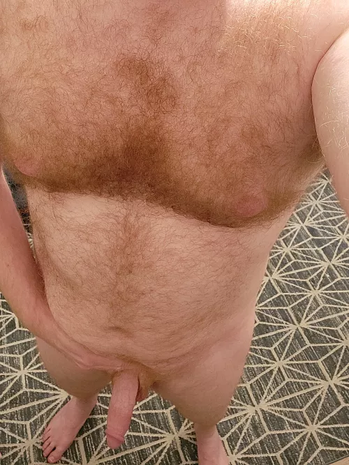 Any fans of gingers  by TheJewishViking1064