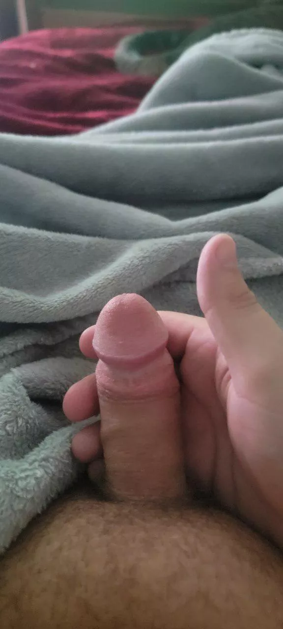 Anyone wanna play with my 4 inches while I suck my first dick? posted by OkAlternative299