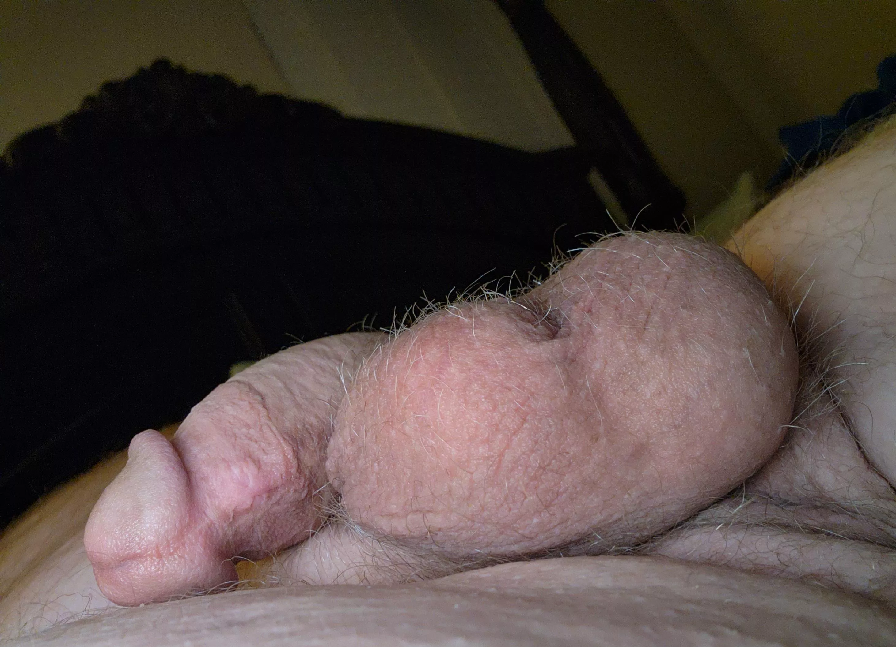 Apparently it's not time to rise and shine... posted by summus-temporibus