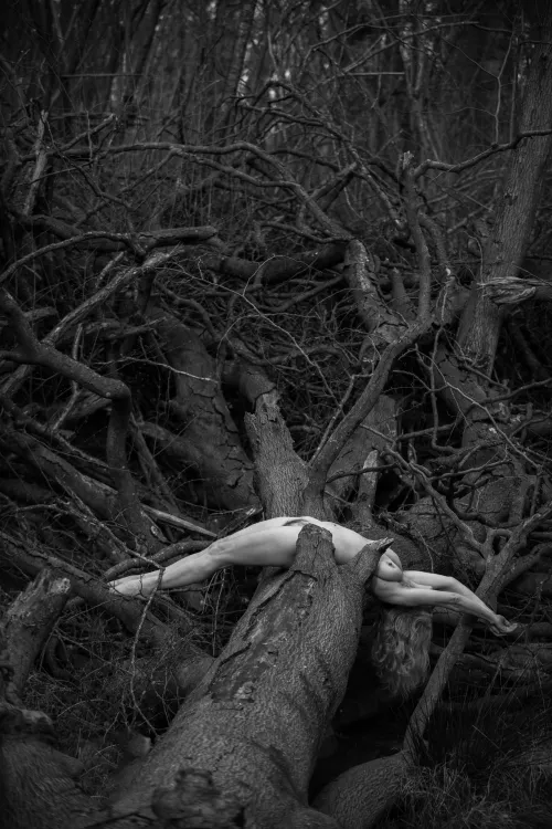 Deadfall photo shoot  by HelenSaunders