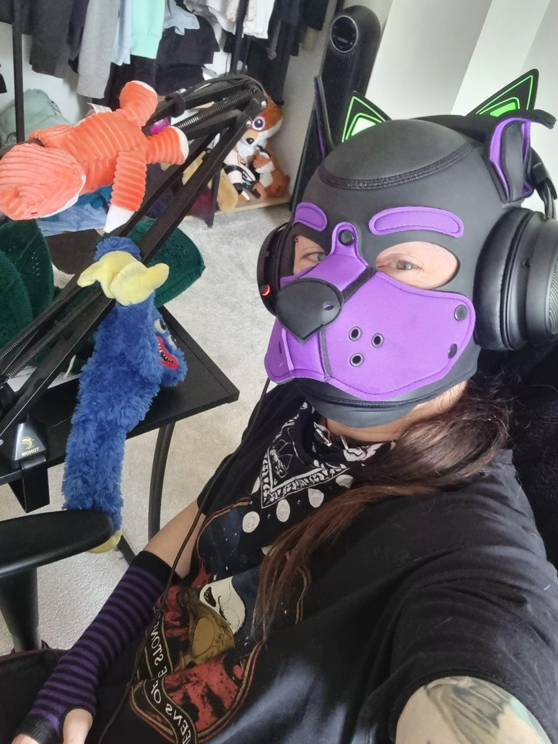 Gaming day for this pup ^_^ posted by MiddleImagination307