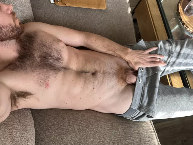 Get these off me [34] by Practical_Diamond588