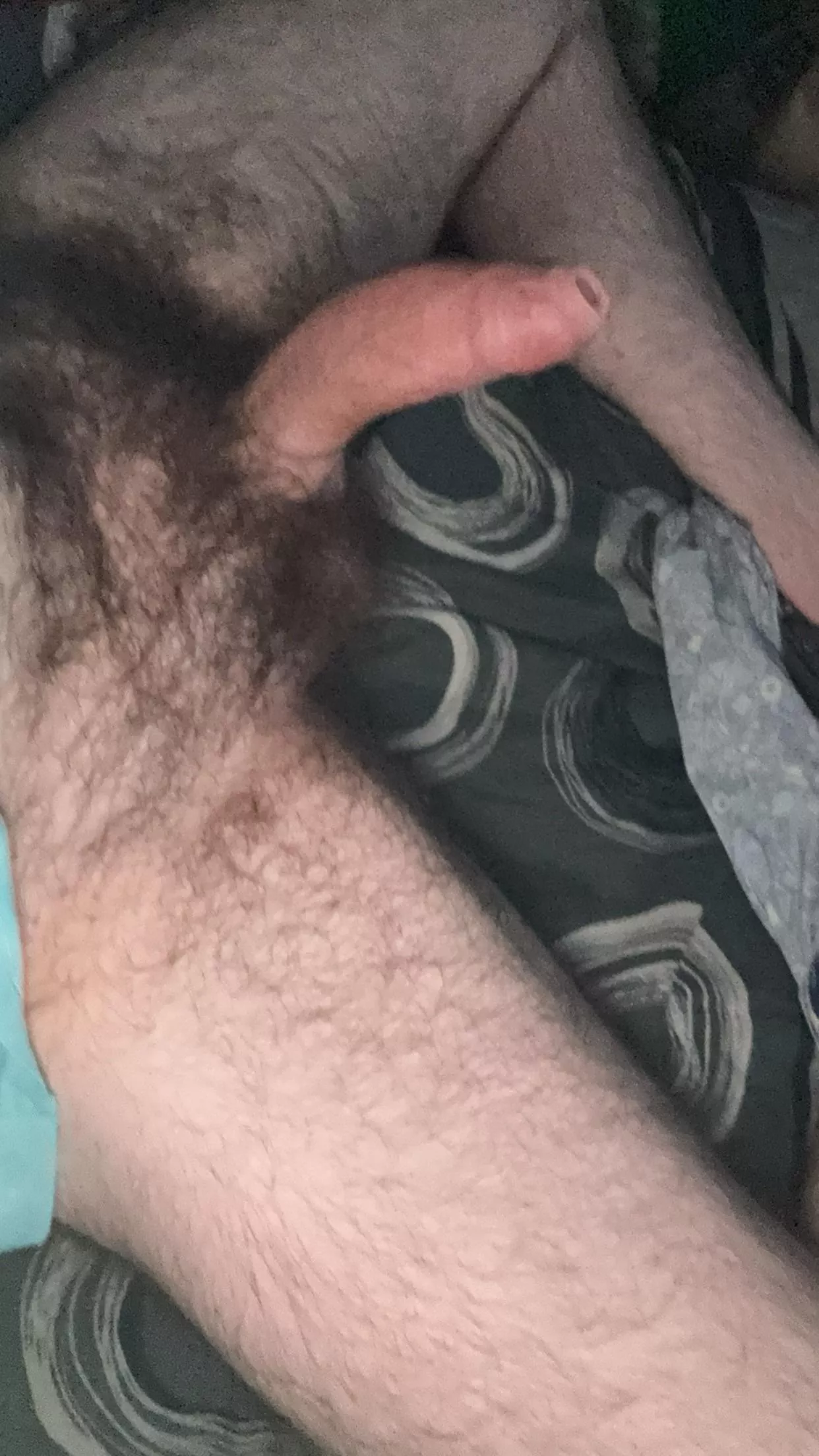 Guess the size posted by uncutaussieladd