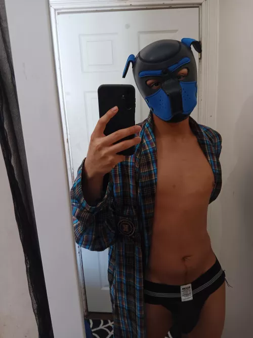 Happy belated pup day !  by m4rsgatorade_