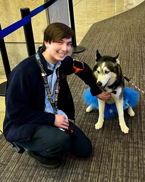 Happy Saturday y’all! Just another cute doggo at work by honksJr